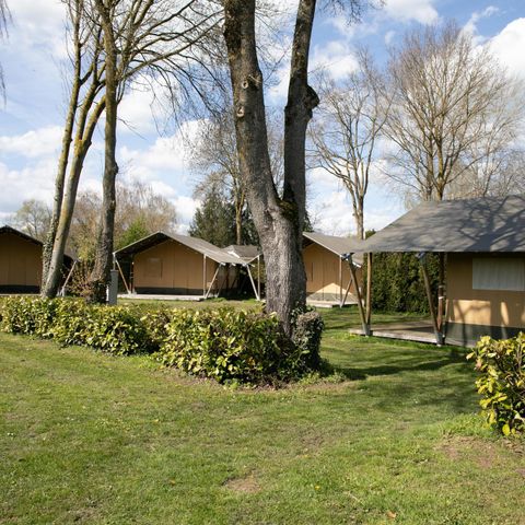 Canvas and wooden tent 6 persons