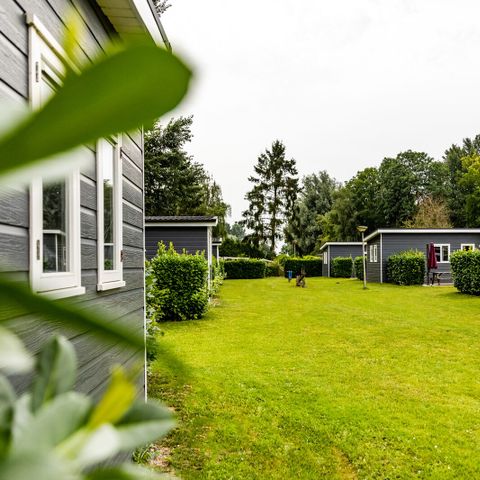 Recreatiepark De Scherpenhof - Camping Voorst - Image N°4