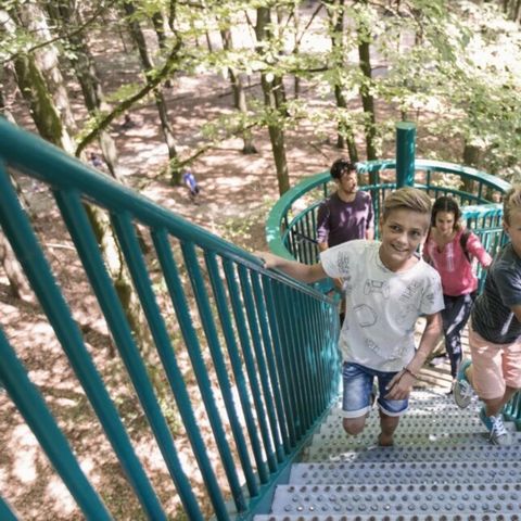 Summio Buitenplaats de Marke van Ruinen - Camping De Wolden - Image N°5