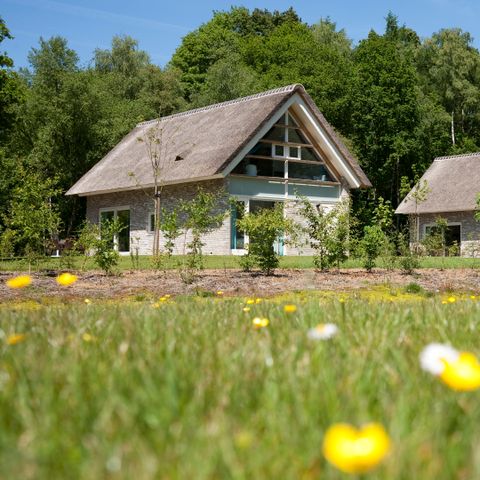 Summio Buitenplaats de Marke van Ruinen - Camping De Wolden - Image N°2