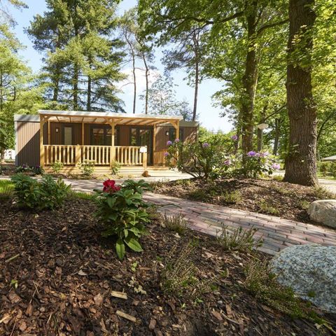 Bungalow 6 persons - Forest Lodge Luxury