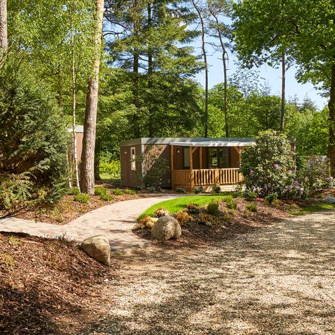 BUNGALOW 6 people - Forest Lodge Luxury