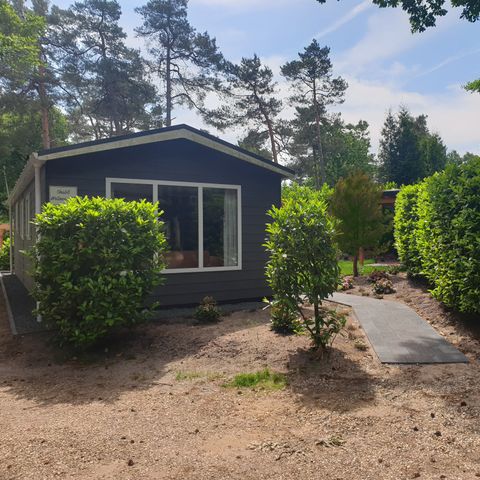 Mobile home 4 persons - Wellness