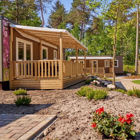 Vakantiepark Het Lierderholt - Apeldoorn - Image N°5