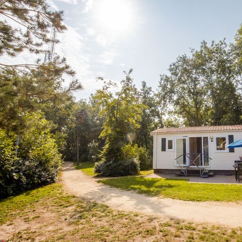 Chalet 5 persons - Pets welcome (max. 3 adults)