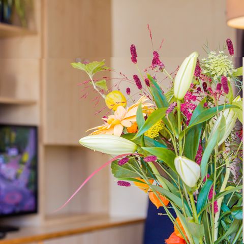 Chalet 5 persons - Pets welcome (max. 3 adults)