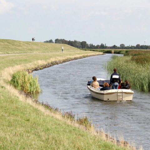 Summio Vakantiepark It Wiid - Camping Tietjerksteradeel - Image N°4