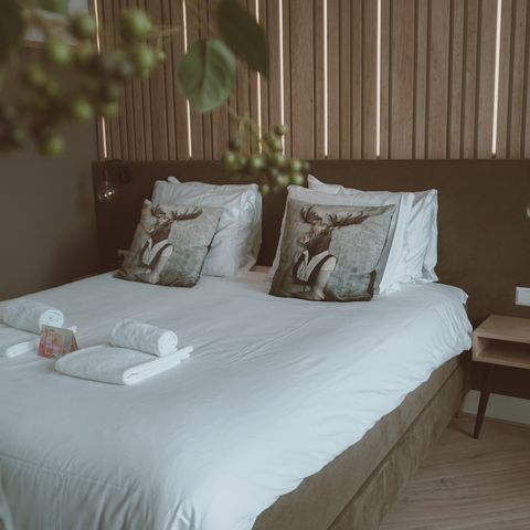 Bedroom 4 persons - Luxury hotel room