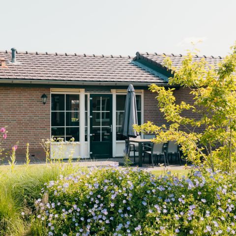 Bungalow 6 persons - Zeumeren