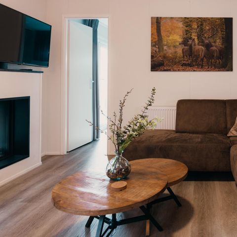 CHALET 6 people - Veluwe villa