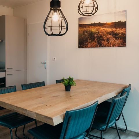 Chalet 6 persons - Veluwe villa