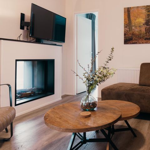 CHALET 6 people - Veluwe villa