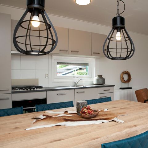 Group accommodation 12 persons - Veluwe Villa with Sauna and Grill House 6+6