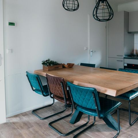 HOUSE 12 people - Veluwe Villa with Sauna and Grill House 6+6