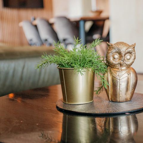 BUNGALOW 8 people - Grey Peat