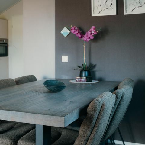 CHALET 6 people - Veluwe lounge with private sauna