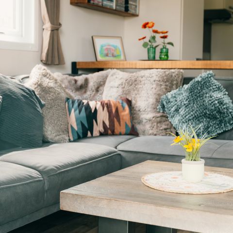 CHALET 6 people - Veluwe lounge with hot tub and sauna