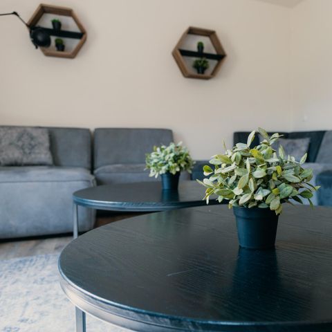 HOUSE 20 people - Group farm