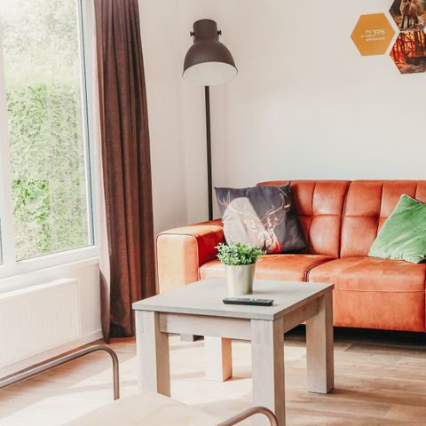 Chalet 4 persons - Veluwe lodge with sauna