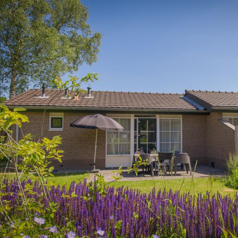 BUNGALOW 10 people - Bunckman Luxe