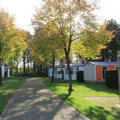 LODGE 6 people - Veranda lodge L