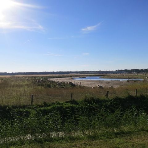 HOUSE 6 people - Fisherman's cottage