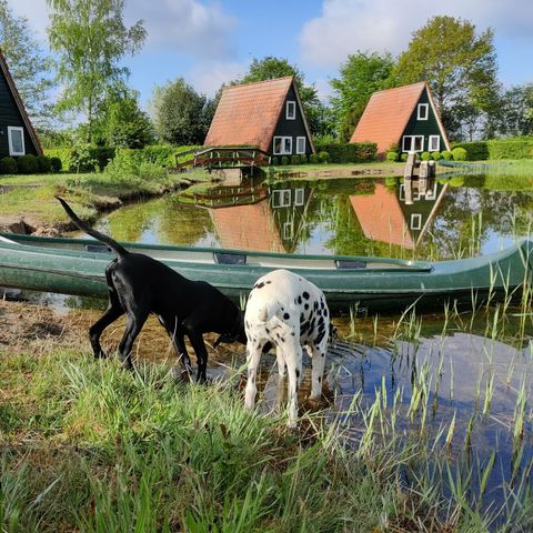 HOUSE 6 people - Fisherman's cottage