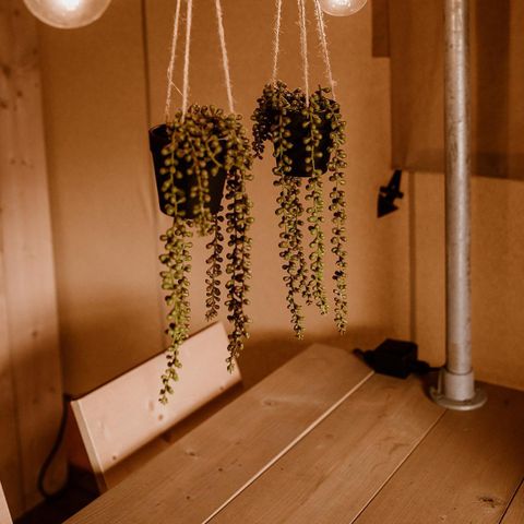 TENT 5 people - air-conditioned glamping