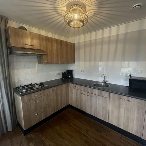 HOUSE 24 people - Group accommodation Strandhuis + 4 holiday homes (24 people)