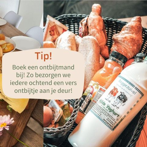 LODGE 4 people - Lodge Oak