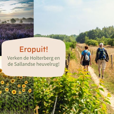 LODGE 4 people - Lodge Oak with two ensuite bathrooms