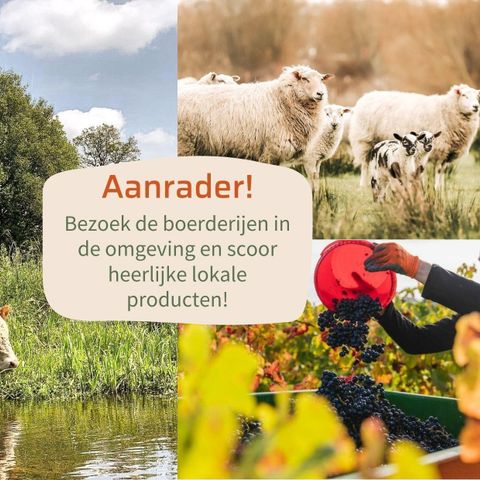 LODGE 2 people - Lodge Wellness jacuzzi, sauna and sunshower