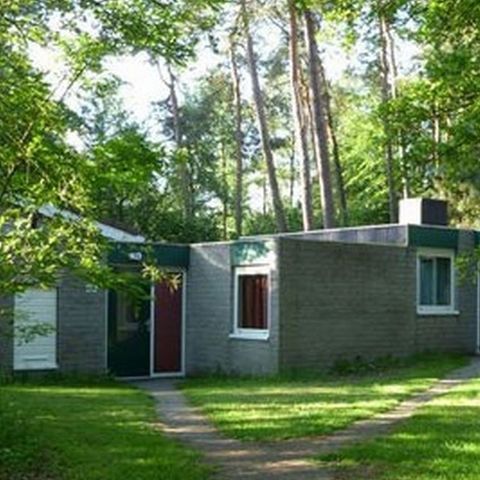 Bungalow 4 persons - Comfort 4E