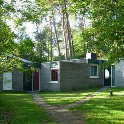 BUNGALOW 4 people - Comfort 4E