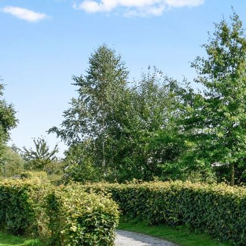 BUNGALOW 6 people - 6B1