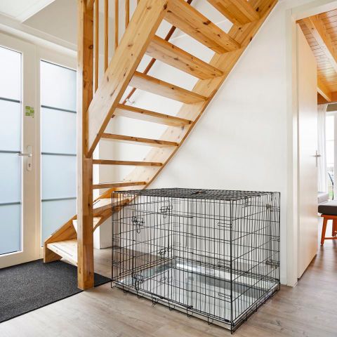 BUNGALOW 6 people - 6CD Dogs