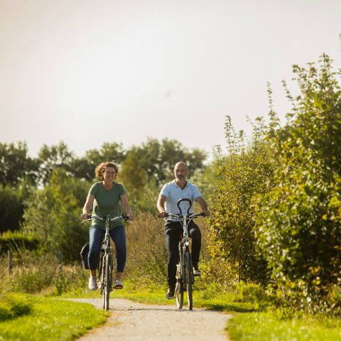 Landal Orveltermarke - Midden-Drenthe - Image N°4
