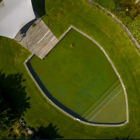 Landal Orveltermarke - Midden-Drenthe - Image N°3