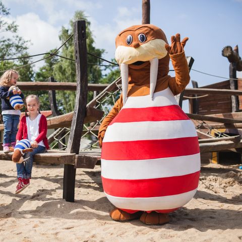 Trixi Ferienpark Zittauer Gebirge - Sax - Image N°3