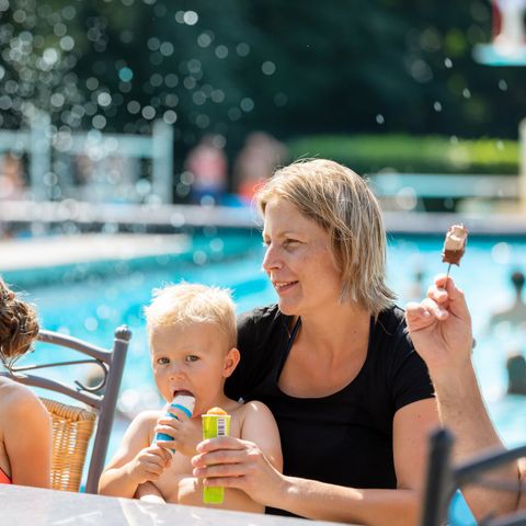 Landal Hunzepark - Aa en Hunze - Image N°3