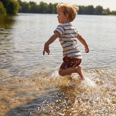 Landal De Vlegge - Camping Hardenberg - Image N°6