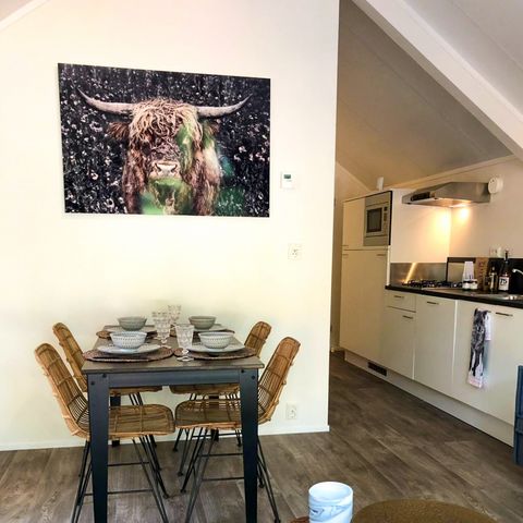 CHALET 4 people - Forest Lodge