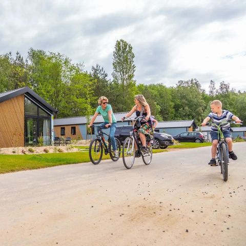 Chalet 4 persons - Velthorst