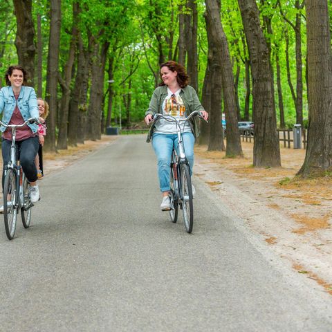 HOUSE 6 people - Brook Villa