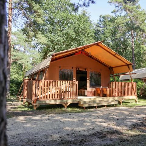 Tent 4 persons - tent Lodgetent