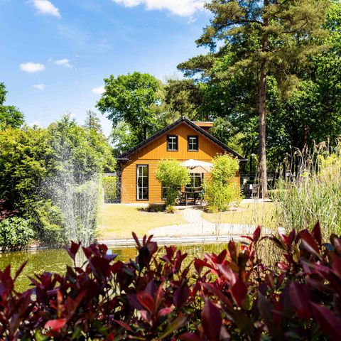 HOUSE 8 people - Forest Villa