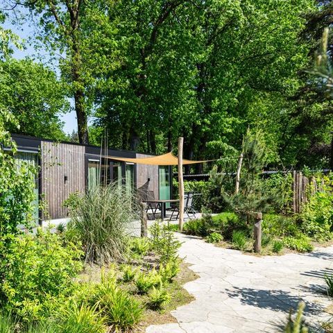 Bungalow 4 persons - Veluwehoeve