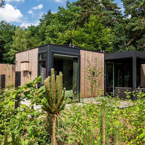 Bungalow 4 persons - Veluwehoeve Wellness (Hot tub)