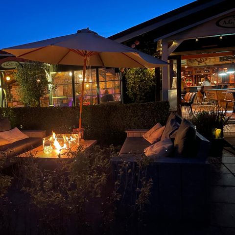 Parc Koudenburg - Ameland - Image N°6