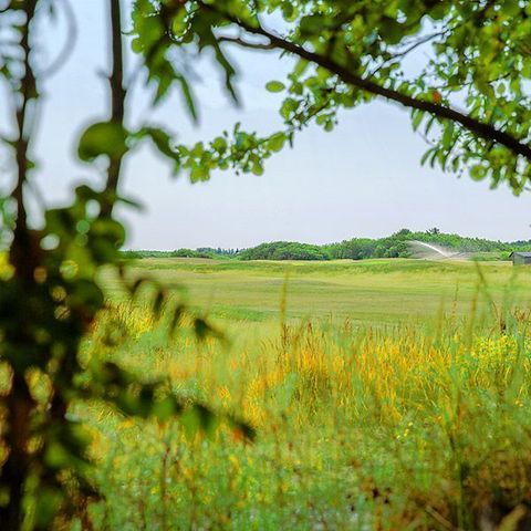 Parc Koudenburg - Camping Ameland - Image N°2
